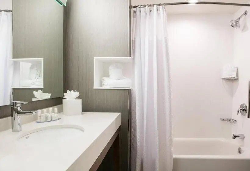 Standard-huone, Courtyard By Marriott Omaha Bellevue At Beardmore Event Center