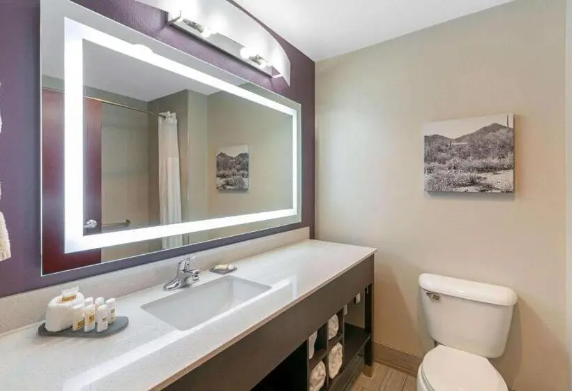 身障者適用スタンダードルーム, La Quinta By Wyndham Williams Grand Canyon Area
