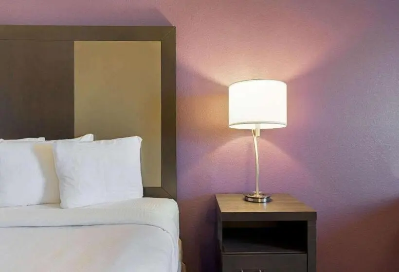 身障者適用スタンダードルーム, La Quinta By Wyndham Williams Grand Canyon Area