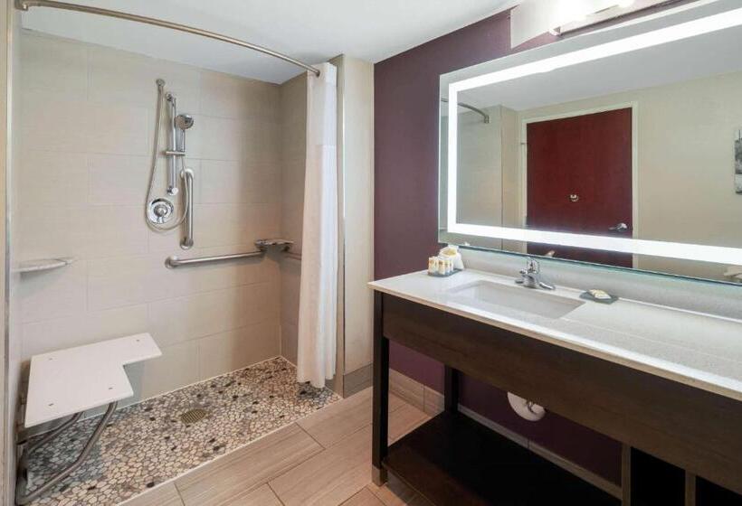 身障者適用スタンダードルーム, La Quinta By Wyndham Williams Grand Canyon Area