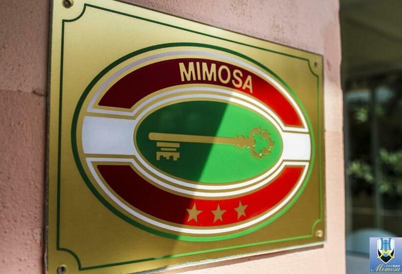 חדר סטנדרט לשלושה, Mimosa