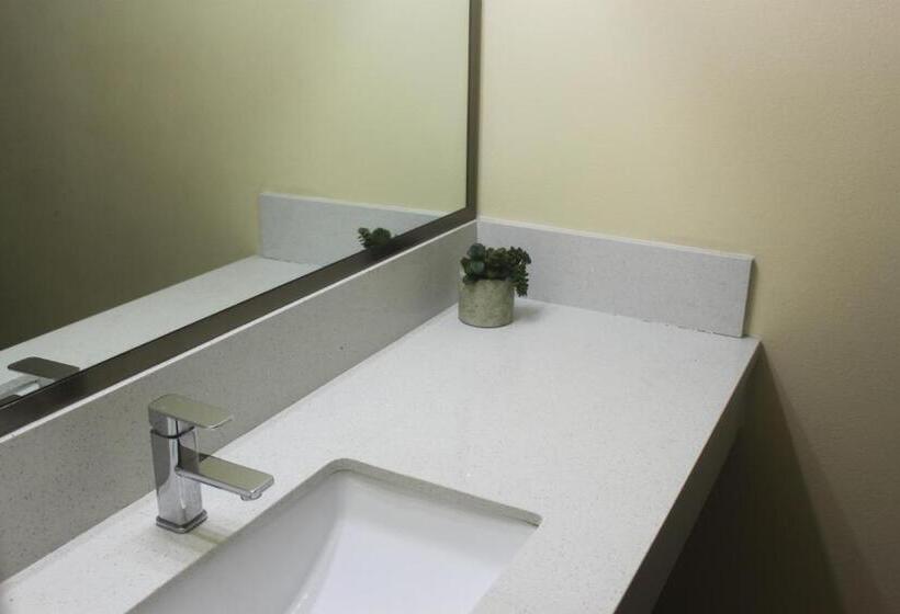 غرفة قياسية, Royla Motel