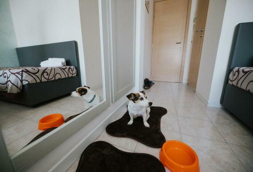 スタンダードルーム, Gloria