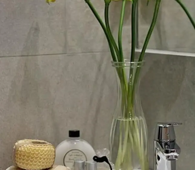 Deluxe-huoneisto 1 Makuuhuone, Apartamentos Suites Oficentro Deluxe