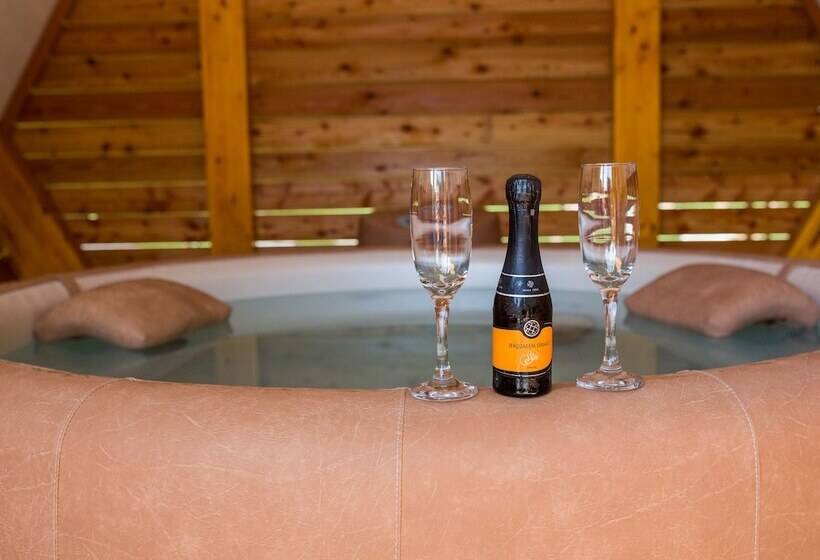 کلبه ییلاقی, Apartments & Wellness Skok