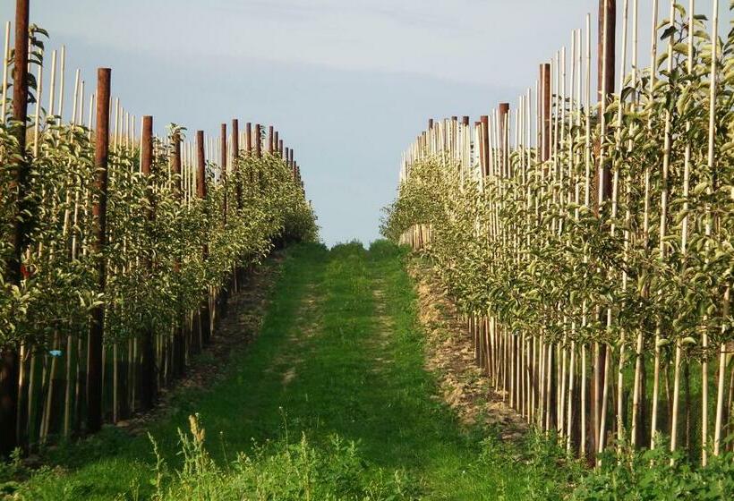 침실 1개 주택, B&b Rikkeshoeve