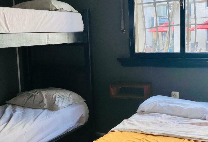 اتاق استاندارد چهار تخته, Lacandona Hostel