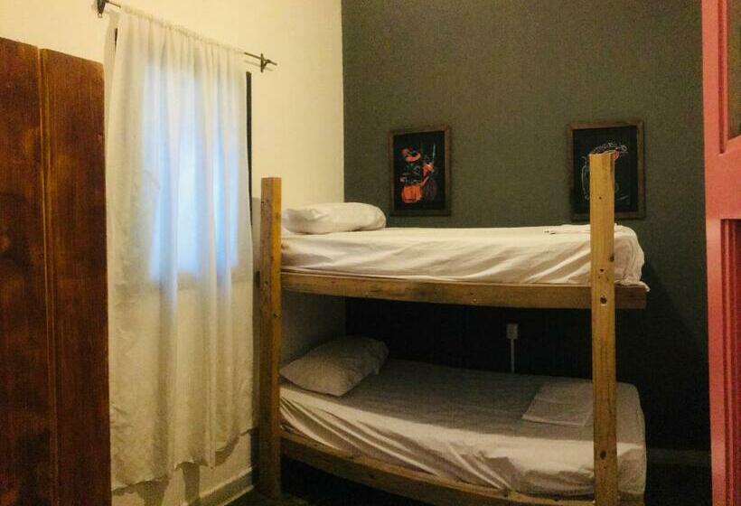 اتاق عادی, Lacandona Hostel