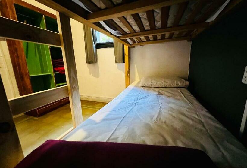 اتاق عادی, Lacandona Hostel