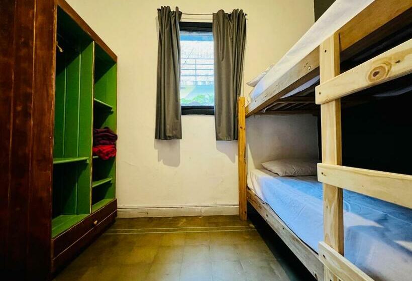 اتاق عادی, Lacandona Hostel