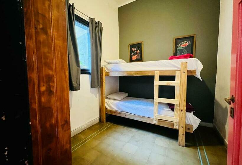 اتاق عادی, Lacandona Hostel