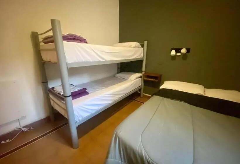 اتاق کلاسیک چهارنفره, Lacandona Hostel