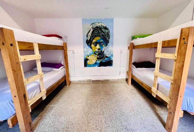 تختخواب در اتاق مشترک, Lacandona Hostel