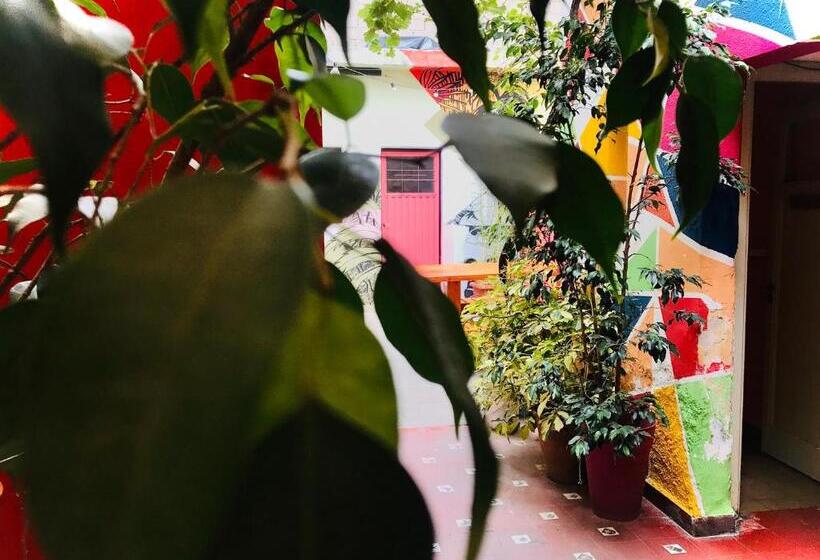 تختخواب در اتاق مشترک, Lacandona Hostel