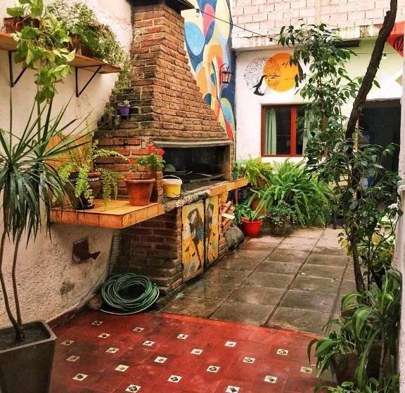 تختخواب در اتاق مشترک, Lacandona Hostel