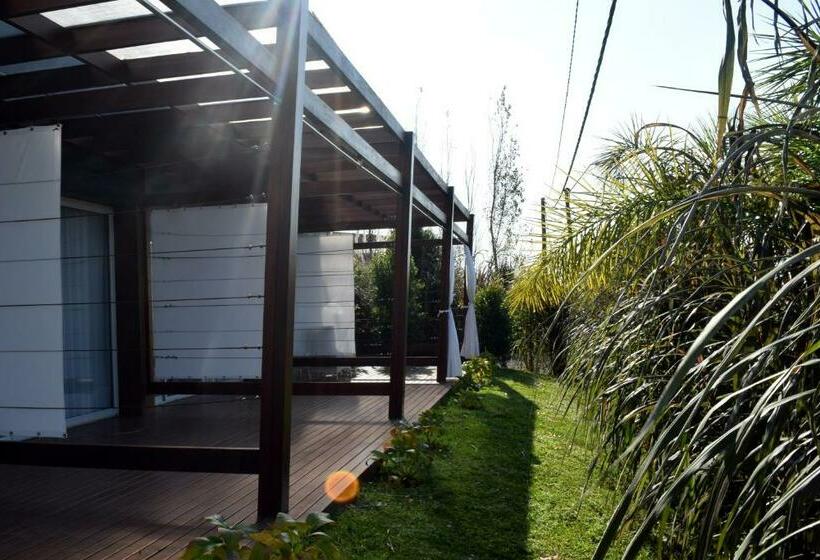 غرفة قياسية مزوَّدة بتراس, Puerto Dijama