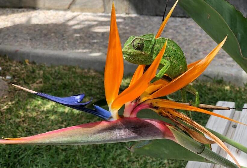 اتاق استاندارد, Hostal Casa Arco Iris