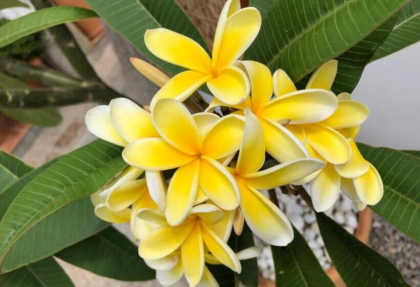 اتاق استاندارد, Hostal Casa Arco Iris