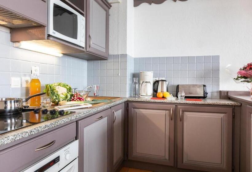 آپارتمان 1 خوابه, Chalet Des Neiges Plein Sud