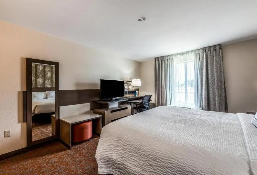 キングサイズベッドのスタンダードルーム, Fairfield Inn & Suites By Marriott St. Joseph Stevensville