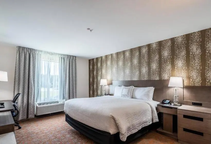 キングサイズベッドのスタンダードルーム, Fairfield Inn & Suites By Marriott St. Joseph Stevensville