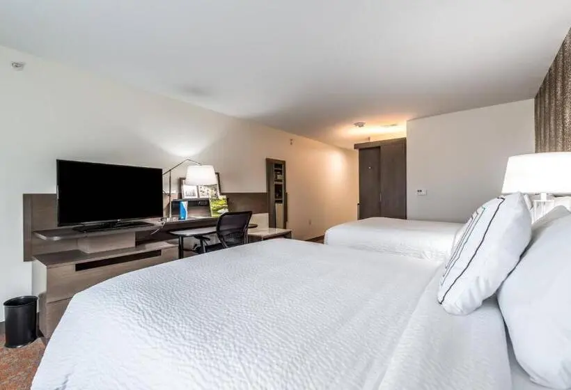 スタンダードルーム, Fairfield Inn & Suites By Marriott St. Joseph Stevensville