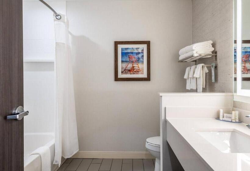 Студия Deluxe, Fairfield Inn & Suites By Marriott St. Joseph Stevensville