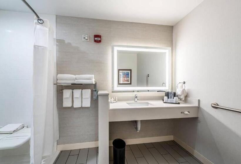 豪华工作室, Fairfield Inn & Suites By Marriott St. Joseph Stevensville