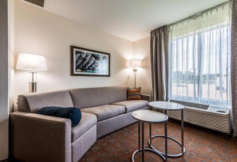Студия Deluxe, Fairfield Inn & Suites By Marriott St. Joseph Stevensville