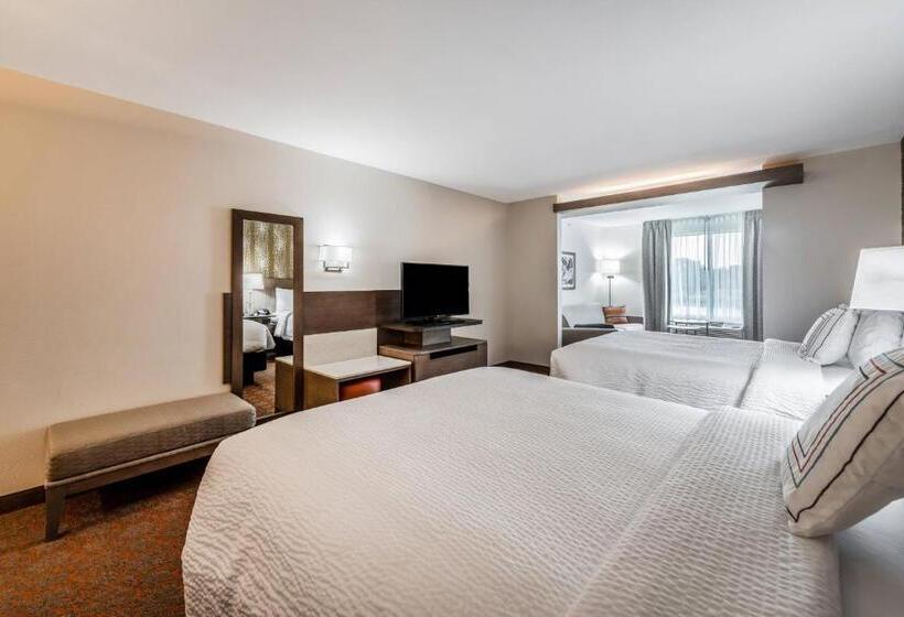 豪华工作室, Fairfield Inn & Suites By Marriott St. Joseph Stevensville