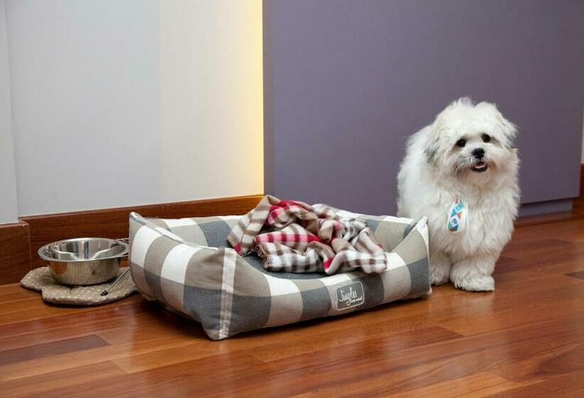 اتاق استاندارد, NH Curitiba The Five