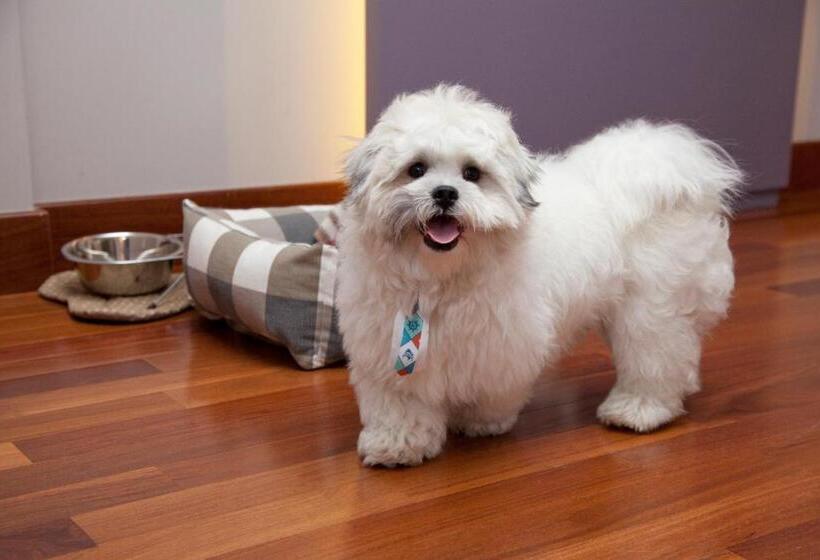 غرفة كومفورت ثلاثية, NH Curitiba The Five