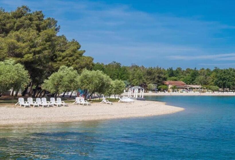 شقة غرفة واحدة مزودة بتراس, Villa Punta Viktory