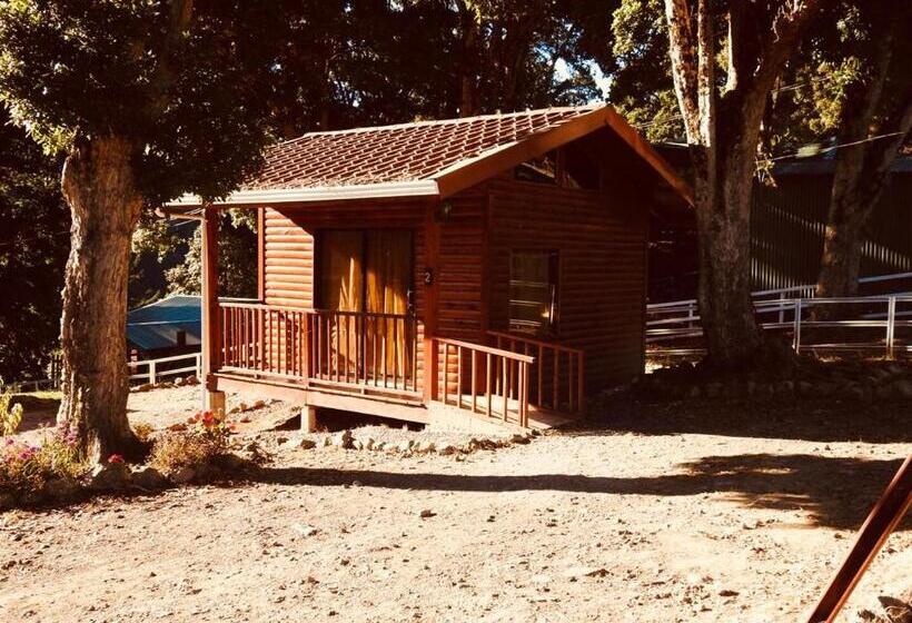 Апартаменты 1 Спальня, Cabañas San Gerardo