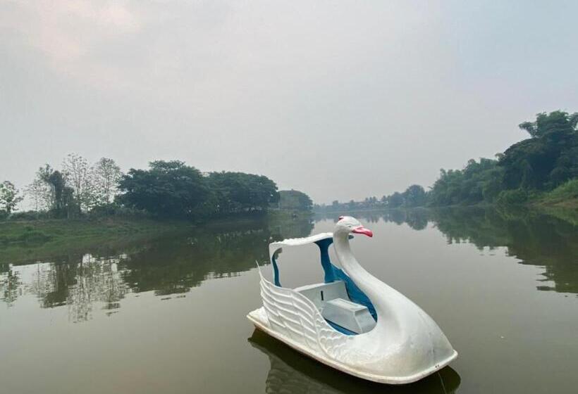 Medencére Néző Standard Szoba, ชิดชายชล รีสอร์ท น่าน