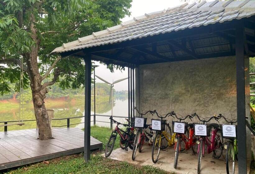 Négyágyas Standard Szoba, ชิดชายชล รีสอร์ท น่าน