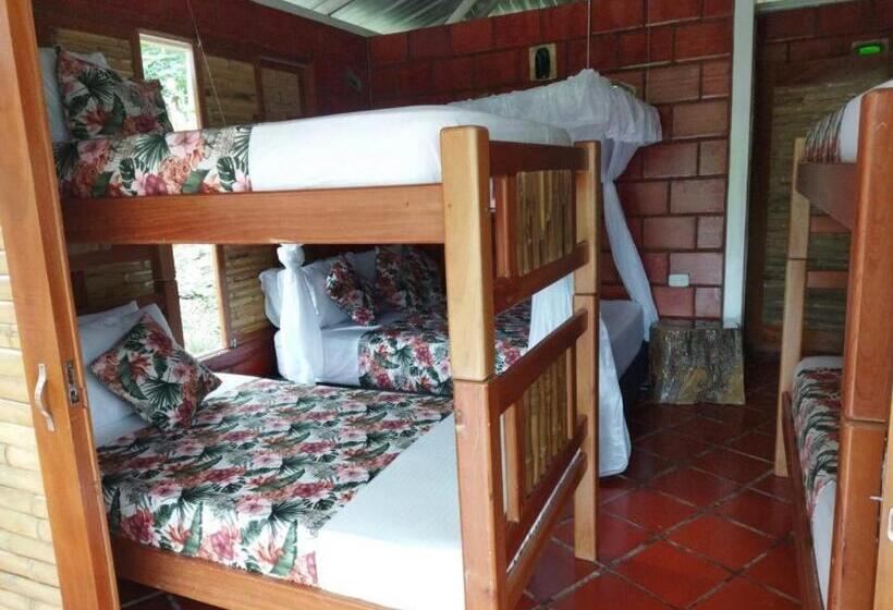 家庭山景房, Aulaviva Tropical