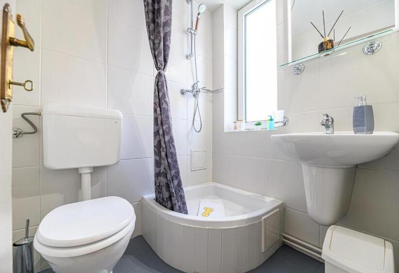 غرفة قياسية, Pensiunea Casa Bono