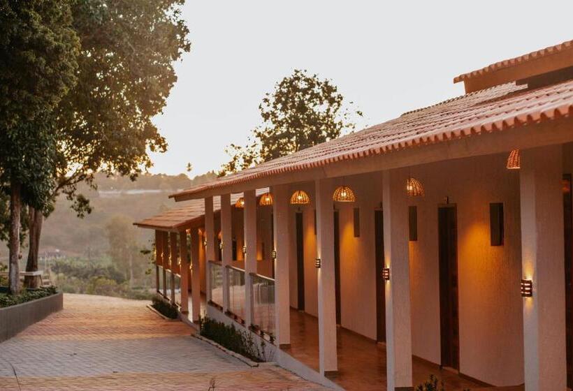 标准三人间, Fazenda Sol Nascente