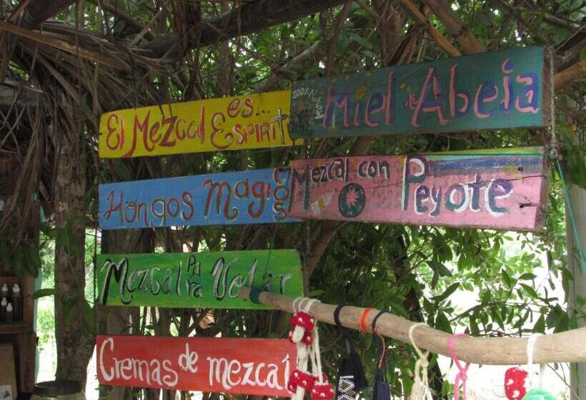 스탠다드 룸, Hab #3 La Casa Del Profe Salo