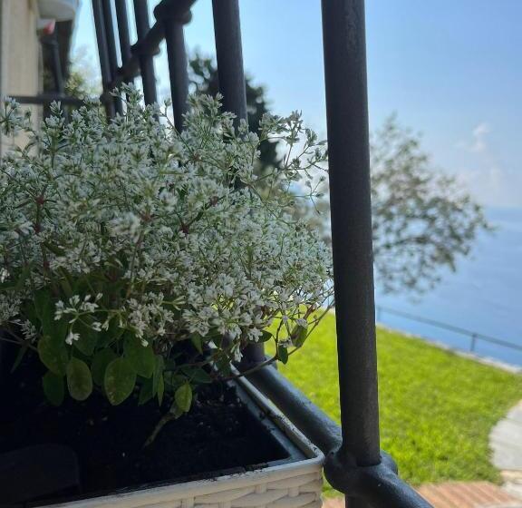 オーシャンビューデラックスルーム, Sea View