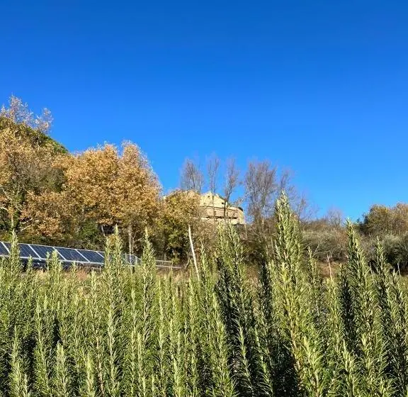 آپارتمان 1 خوابه با چشم‌انداز, Bio Agriturismo Alba Etrusca Di Cortona   Organic Farmhouse  Appartamento Lavanda Appartamento Rosma