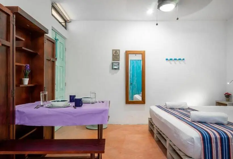 استودیوی سوپریور, Casa Toloc Tulum