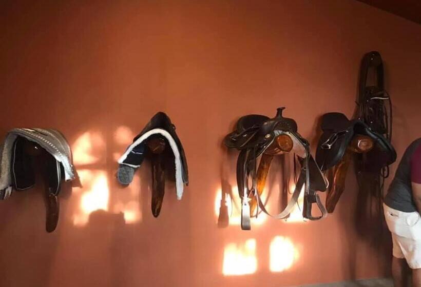 Семейный Номер, Vonfidel Ranch