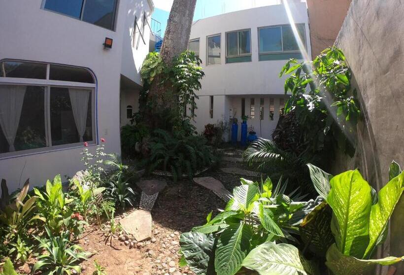 غرفة قياسية, Casa Arbol De Paz Habitación Doble