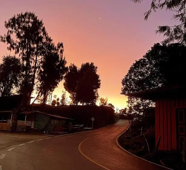 スタンダードルーム, Un Amanecer En Murillo