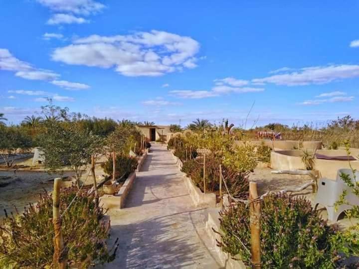 اتاق استاندارد با چشمانداز باغ, Bedouin