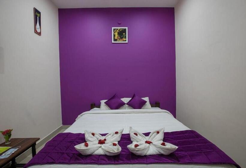 Номер Стандарт, Paradise Auro Resort