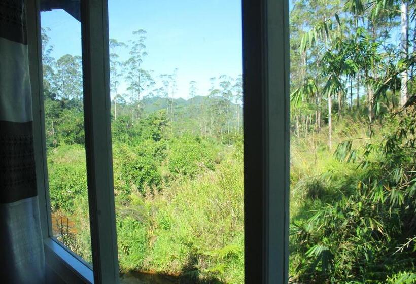 スイート（家族用）, Triniton Holiday Villas