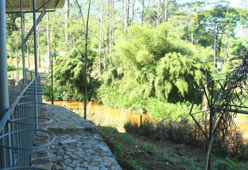 スイート（家族用）, Triniton Holiday Villas